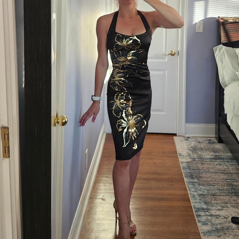 Cache Black and Gold Halter Dress